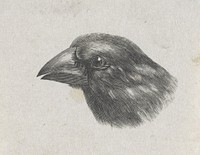 Vogelkop (mogelijk een groenling of een appelvink) (1856 - 1935) by Evert Schippers
