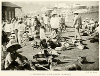 A Philippine livestock market from The book of dogs (1919) by F. O. Koch