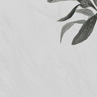 Leaf border background, gray design