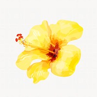 Hibiscus flower clip art, botanical & floral graphic