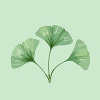 Ginkgo leaf clip art, botanical graphic