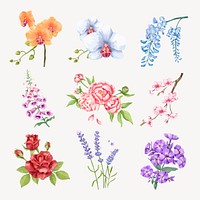 Watercolor flower sticker, beautiful graphic psd set
