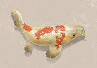 White Koi fish sticker, Japanese traditional animal psd