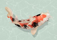 Red Koi fish sticker, Japanese traditional animal psd