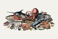 Hand drawn of seafood concept
