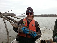 Holding a Lake SturgeonPhoto by USFWS. Original public domain image from Flickr