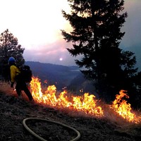 USDA Forest Service Tallac Hotshots engage in burnout operations on the Carr Fire. This tactic is applied to help slow down a fast moving wildfire while to creating a safe place for wildland firefighters to engage in the fight.