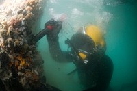 U.S. Navy Diver 1st Class John Neal, assigned to Mobile Diving and Salvage Unit 2, inspects a damaged pier Jan. 25, 2010, in Port-au-Prince, Haiti.