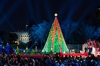 2018 National Christmas Tree Lighting