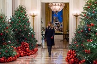 2018 White House Christmas reviews the Christmas decorations Sunday, Nov. 25, 2018, in the Cross Hall of the White House. (Official White House Photo by Andrea Hanks). Original public domain image from Flickr