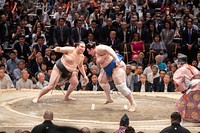 President Trump and First Lady Melania Attend a Sumo Tournament