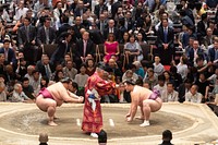 President Trump and First Lady Melania Attend a Sumo Tournament