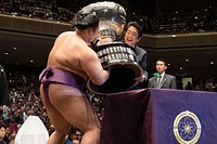 The Sumo Grand Championship