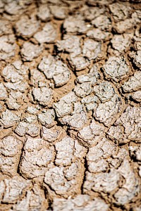 Drought texture close up background, abstract design