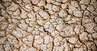 Drought texture close up background, abstract design