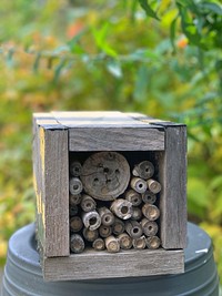 Backyard bee hotelBee hotels are great addition to your garden and are used year round by pollinators.Photo by Jill Utrup/USFWS. Original public domain image from Flickr