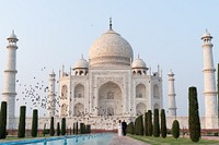 President Trump and the First Lady in India