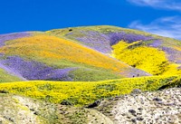 Carrizo Plain National Monument, USA. Original public domain image from  Flickr