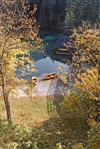 The World Factbook - AustriaShoreline along a small Austrian lake. Original public domain image from Flickr