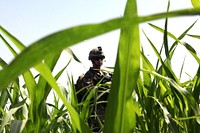 U.S. Navy Hospital Corpsman Seaman Christian Adkins, assigned to Alpha Company, 1st Battalion, 7th Marine Regiment, Regimental Combat Team 6, scans the surrounding area during Operation Gospand-Sia in Sangin district, Helmand province, Afghanistan, July 11, 2012.