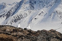 Ptarmigan pairGates of the Arctic National Park and PreservePhoto by NPS / Zak Richter. Original public domain image from Flickr