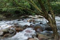 River in Minca, Colombia<br/>Rio Gaira flowing through the small mountain town of Minca, Colombia. Original public domain image from <a href="https://www.flickr.com/photos/peacecorps/13949973302/" target="_blank" rel="noopener noreferrer nofollow">Flickr</a>