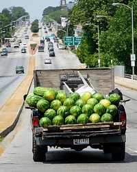 Arabers drive to a location in Baltimore, MD., June 18, 2014. Street Arabers have been vending fruits and goods for over 75 years in the Baltimore area. Original public domain image from Flickr