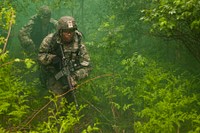 U.S. Army paratroopers assigned to Charlie Company, 2nd Battalion, 503rd Infantry Regiment, 173rd Airborne Brigade Combat Team conduct squad level live-fire training near Tapa, Estonia, June 9, 2014.