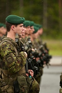 Estonian soldiers stand in formation during a ceremony to welcome U.S. Army paratroopers with Bravo Troop, 1st Squadron, 91st Cavalry Regiment, 173rd Airborne Brigade Combat Team at ?mari Air Base, Estonia, June 19, 2014.