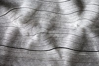 Drift wood texture background, close up design