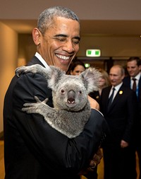 "The President holds a koala backstage prior to the G20 Welcome to Country Ceremony at the Brisbane Convention and Exhibition Center in Brisbane, Australia."