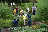 First Lady Michelle Obama joins school children and chefs for the annual fall harvest of the White House Kitchen Garden, Oct. 14, 2014.