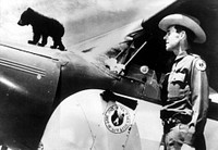 Smokey on Airplane Cowling 1950. Original public domain image from Flickr