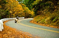 MOTORCYCLIST ON 30_COLUMBIA RIVER GORGEMotorcyclist driving along Highway 30 in Oregon during autumn-Columbia River Gorge National Scenic Area. Original public domain image from Flickr