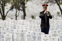 A lone Army bugler plays taps during an interment at Arlington National Cemetery). Original public domain image from Flickr