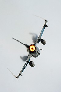 Arctic Thunder Open House 2018An F-16 Fighting Falcon takes off during the Joint Forces Demonstration Arctic Thunder Open House on Joint Base Elmendorf-Richardson, Alaska, June 30, 2018. During the biennial open house, JBER opens its gates to the public and hosts multiple performers including the U.S. Air Force Thunderbirds, JBER Joint Forces Demonstration and the U.S. Air Force F-22 Raptor Demonstration Team. (U.S. Air Force photo by Senior Airman Javier Alvarez). Original public domain image from Flickr