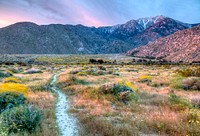 Rising abruptly from the desert floor, the Santa Rosa and San Jacinto Mountains National Monument reaches an elevation of 10,834 feet.