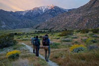 Rising abruptly from the desert floor, the Santa Rosa and San Jacinto Mountains National Monument reaches an elevation of 10,834 feet.