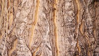 Rough wood  texture computer wallpaper, high definition background