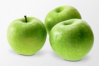 Green apple fruit sticker, granny smith