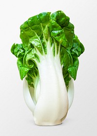 Bokchoi clipart, organic Chinese vegetable psd