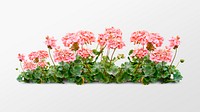 Pink flower bush collage element, nature design psd