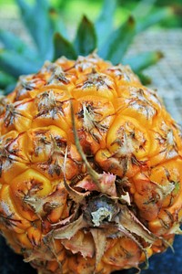 Closeup on pineapple fruit. Free public domain CC0 image. 