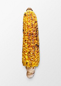 Grilled corn sticker, food photography psd