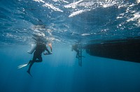 Scuba diving in the Maldivesy. Free public domain CC0 image.