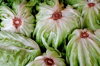 Cabbage vegetable. Free public domain CC0 photo