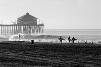 Surfers at the beach, sports photography. Free public domain CC0 image.