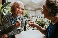 Friends clinking glasses in celebration