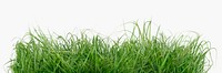 Grass border, nature collage element design psd