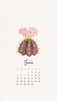 Cute 2022 June calendar template, editable iPhone wallpaper psd